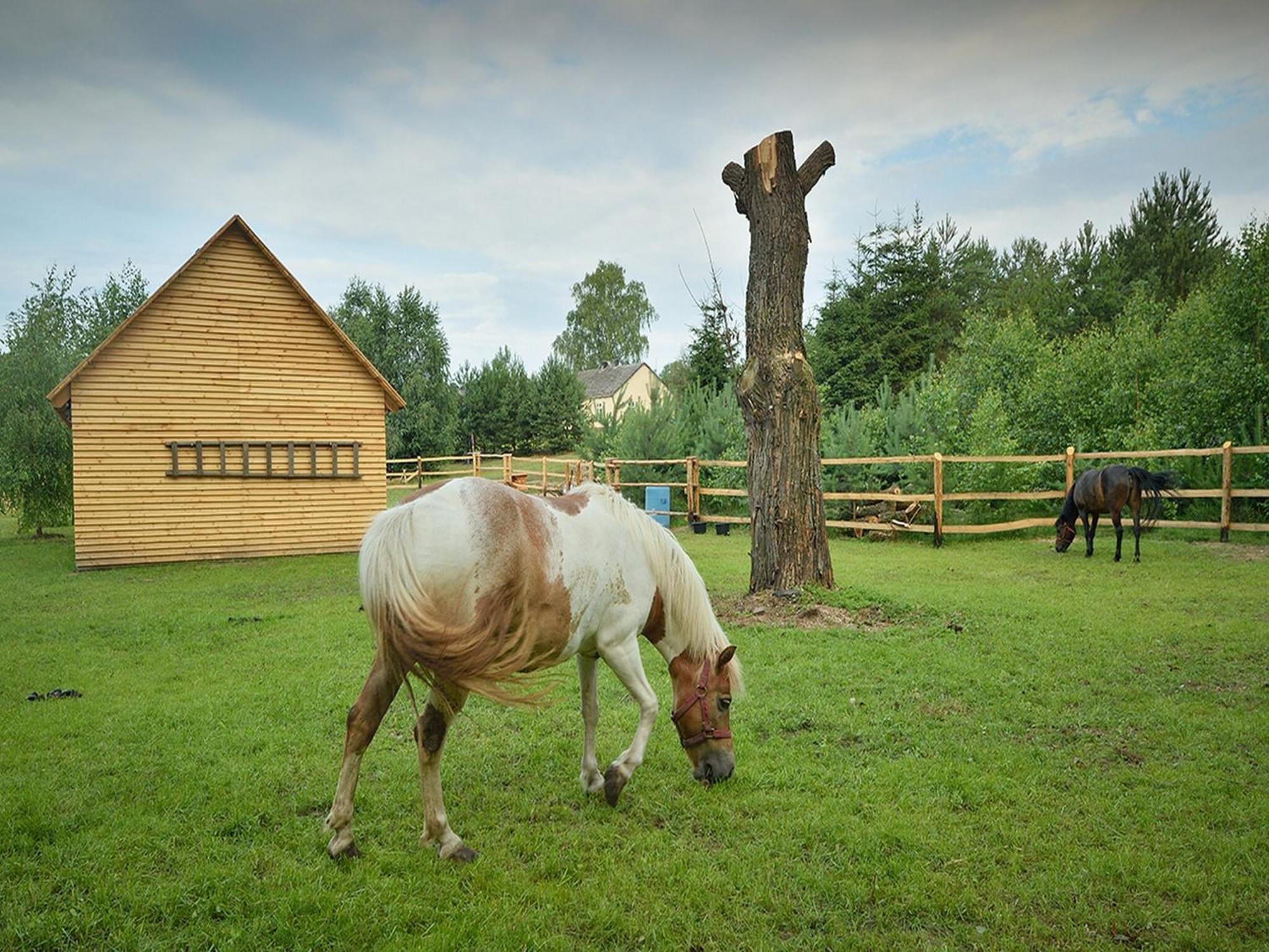 Wooden Holiday Home In Skrzynia With Terrace Осек Экстерьер фото