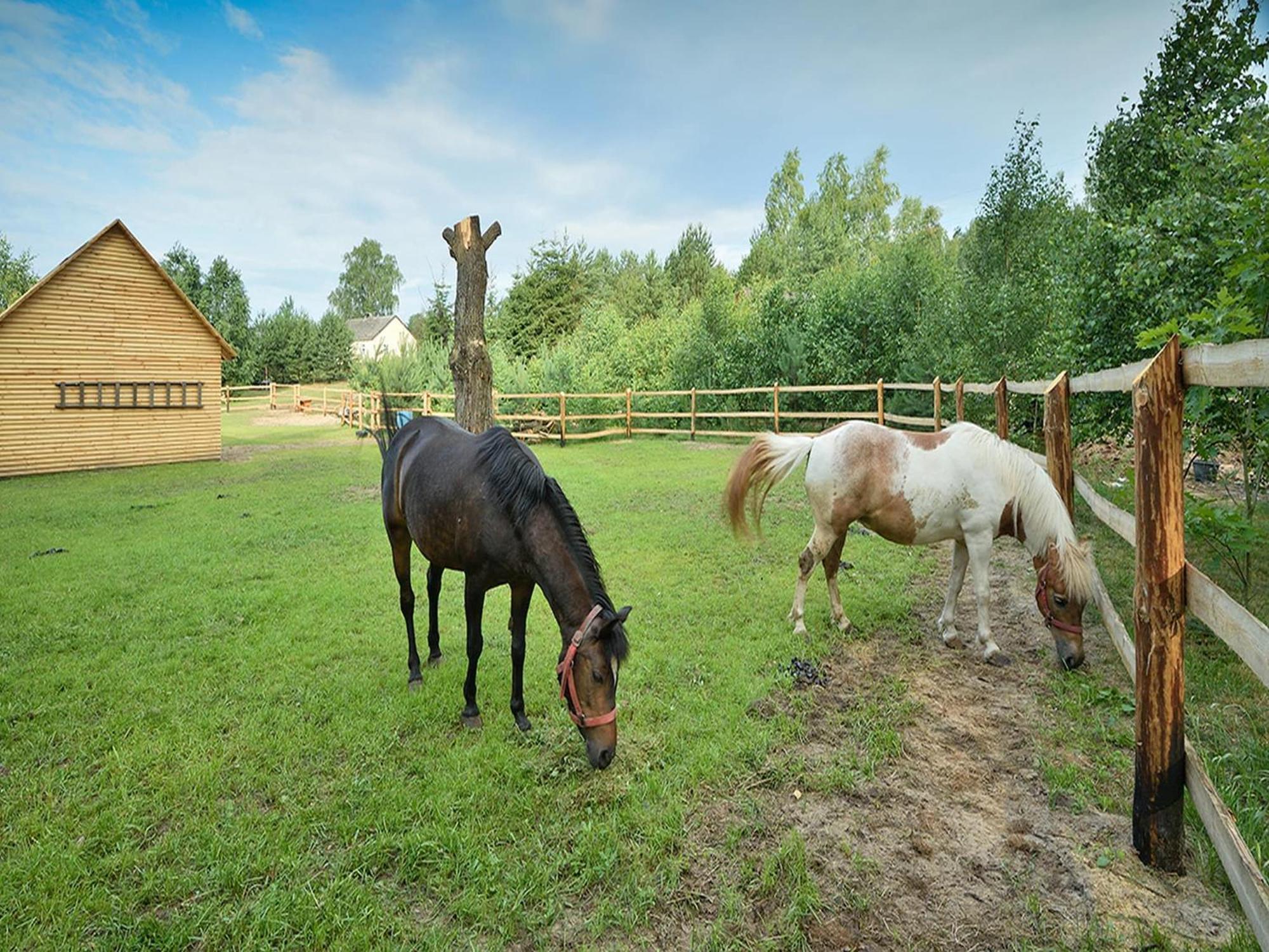 Wooden Holiday Home In Skrzynia With Terrace Осек Экстерьер фото