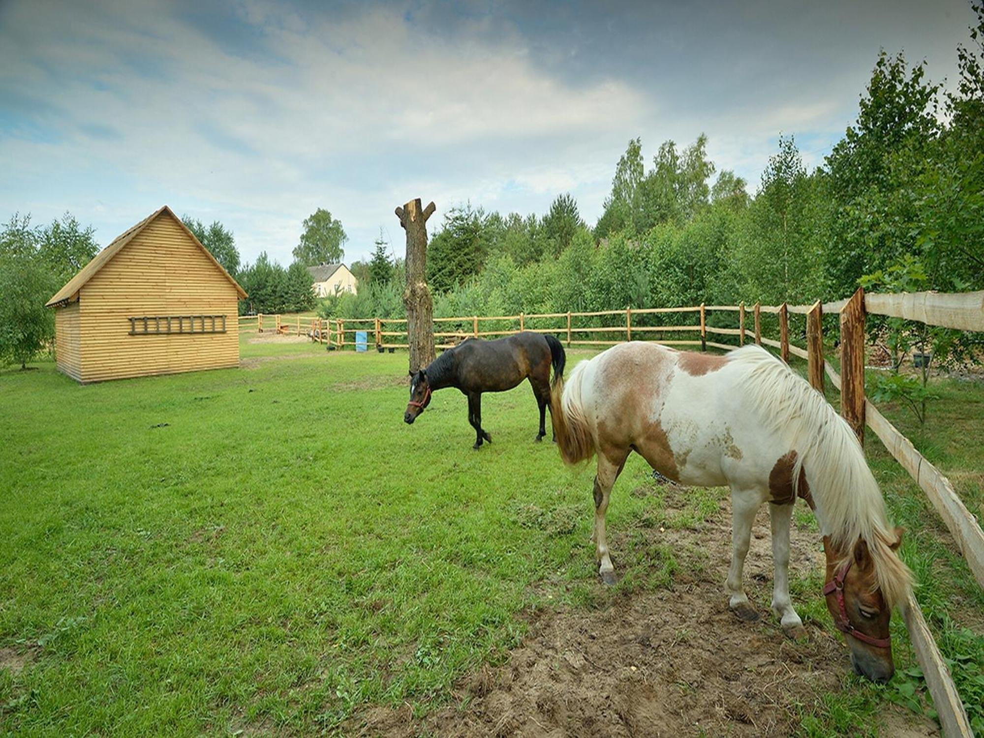 Wooden Holiday Home In Skrzynia With Terrace Осек Экстерьер фото